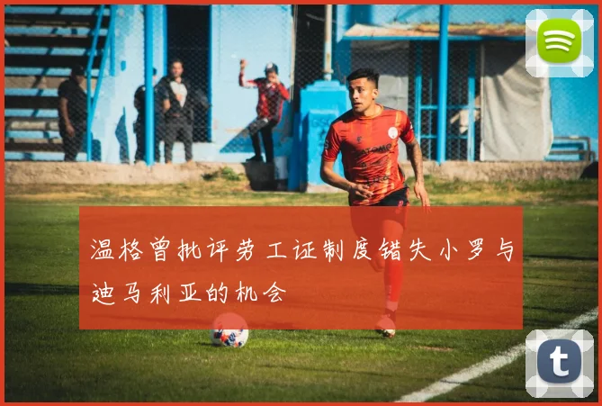 温格曾批评劳工证制度错失小罗与迪马利亚的机会
