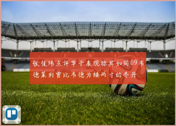张佳玮点评华子表现称其如同09韦德莱利曾比韦德为矮两寸的乔丹